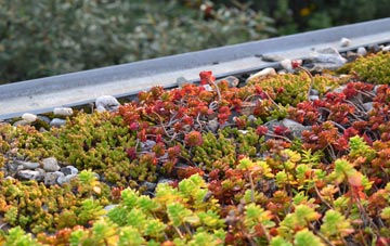 the cost of Bilston green roof installation